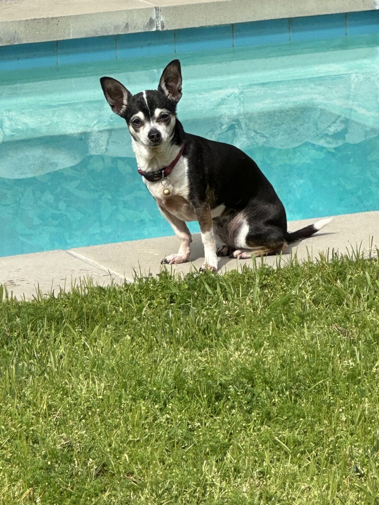 What else? socalwatersmart.com/residential flumewater.com cityplants.org